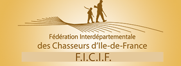 Logo FICIF