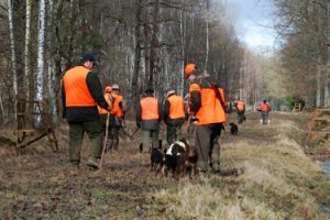 assurance responsabilité civile organisateur de chasse